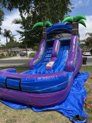 B022B691 7C4E 43D2 ADF9 1DF51EC2AB26 1658335430 12 ft Tropical Palm Tree Water Slide