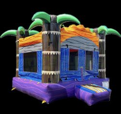 Palm Tree Island Bounce House